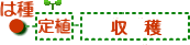 cycle4