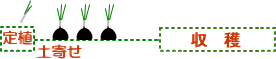 cycle5
