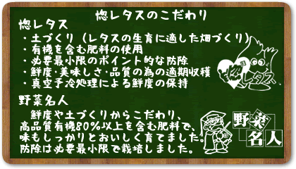 惚レタスのこだわり