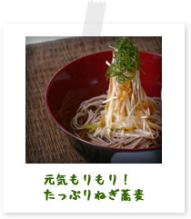 元気もりもり！たっぷりねぎ蕎麦