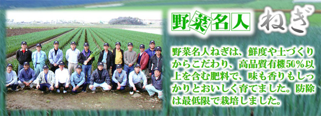 meijin_n