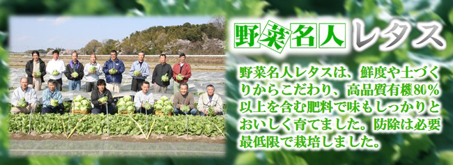 meijin_r